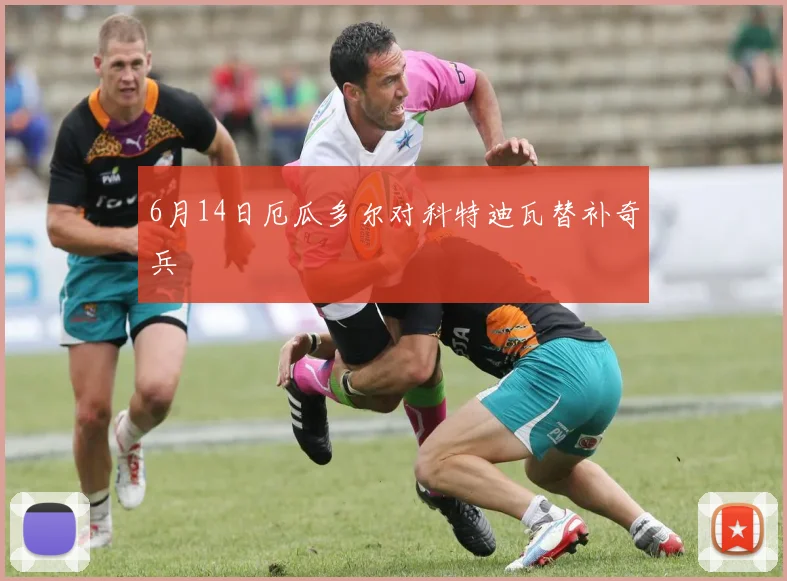 6月14日厄瓜多尔对科特迪瓦替补奇兵