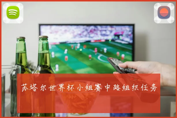 苏塔尔世界杯小组赛中路组织任务